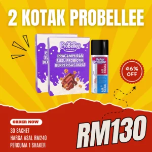 2 KOTAK PROBELLEE